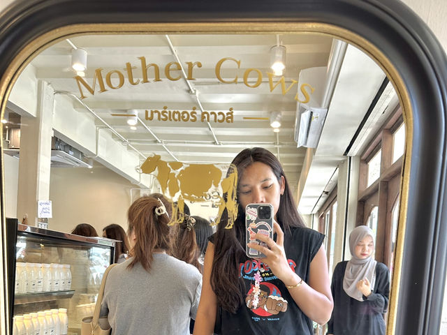 Mother Cows มาร์เตอร์คาวส์ บรรทัดทอง