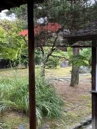 高山最療癒的人心地方-高山陣屋