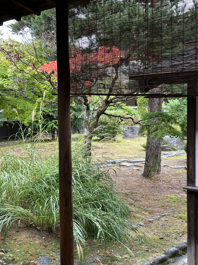 高山最療癒的人心地方-高山陣屋