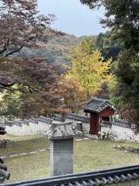 파주 가볼 만한 곳, 피크닉 명소, 산책 코스 추천