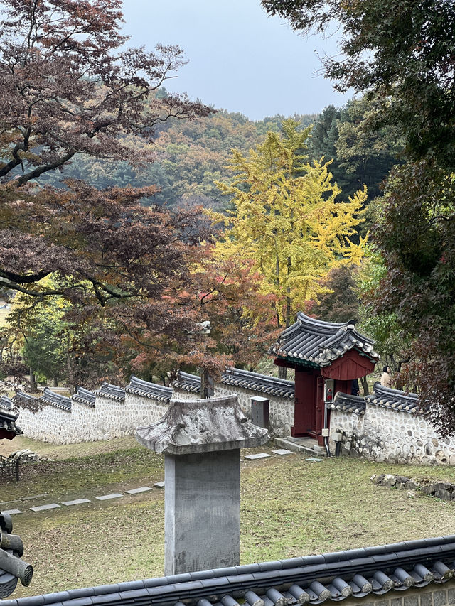 파주 가볼 만한 곳, 피크닉 명소, 산책 코스 추천