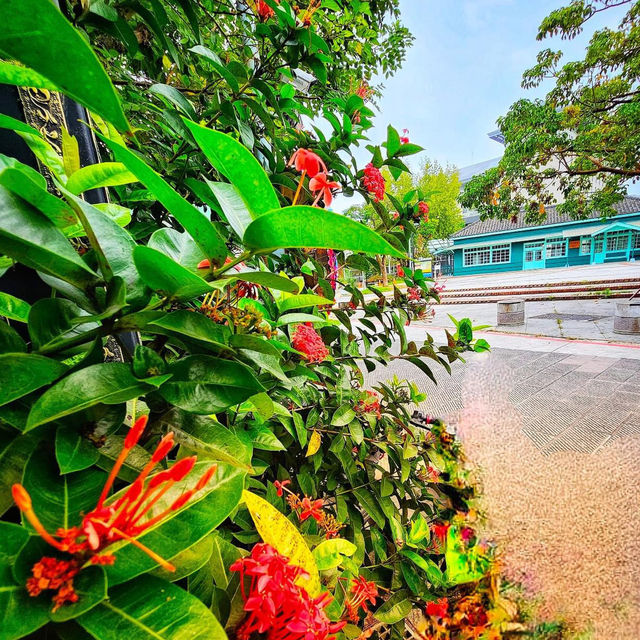 沉睡森林主題公園