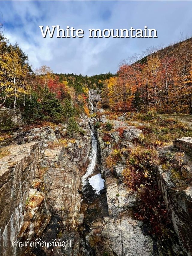 White mountain 