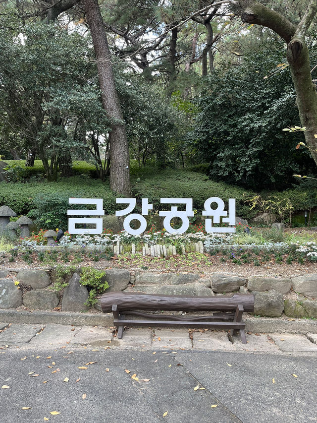 부산 가을여행지는 바로 여기!