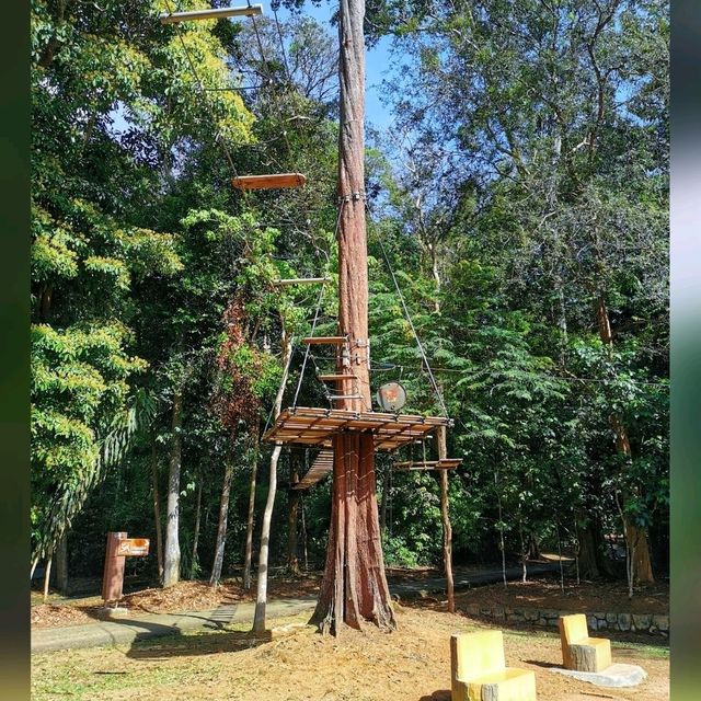 An adventurous & funfull day @ SKYTREX Adventure Melaka! 🌿🐒🍃🦋🌳