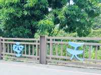 南投猴探井天空之橋 ✨ 高空中的迷人步道 