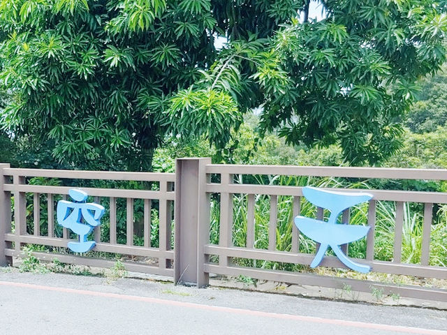 南投猴探井天空之橋 ✨ 高空中的迷人步道 