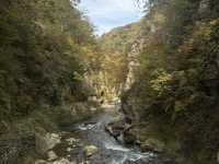 ใบไม้เปลี่ยนสีที่ Naruko Gorge 
