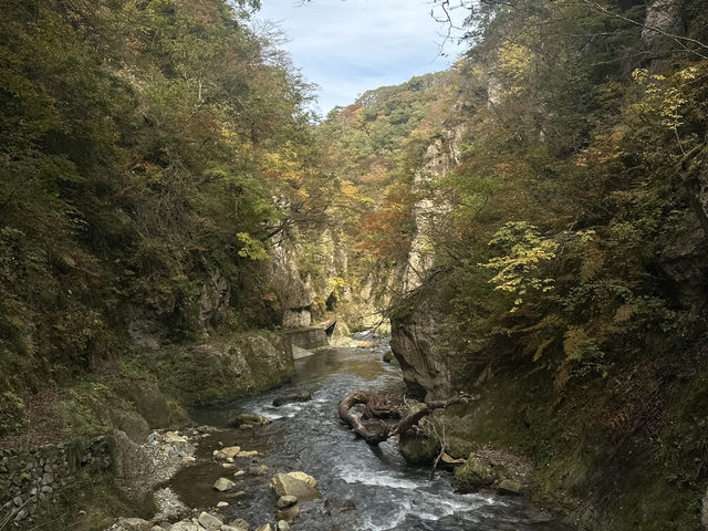 ใบไม้เปลี่ยนสีที่ Naruko Gorge 