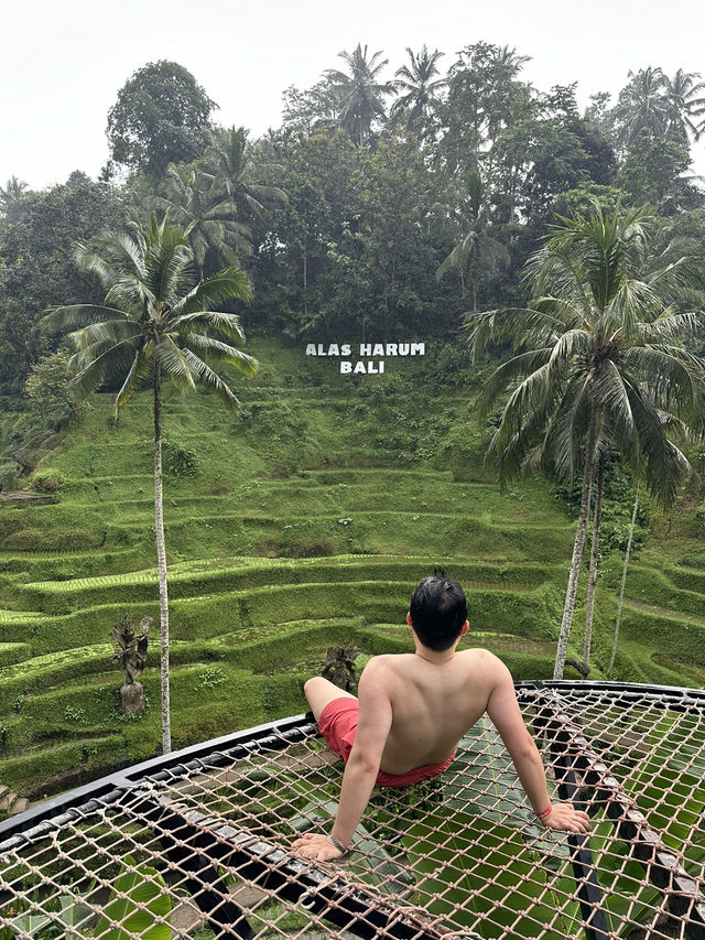 우붓 여행 필수 코스 뜨갈랄랑 뷰 3단 수영장 크레트야 우붓🌳