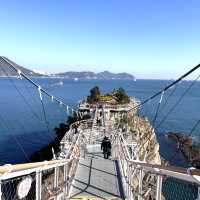 🌟第一次來釜山必買Visit Busan Pass🌟