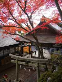 【ここ行って】お守り作り体験も⁉️パワーみなぎる天空の紅葉絶景スポット🍁