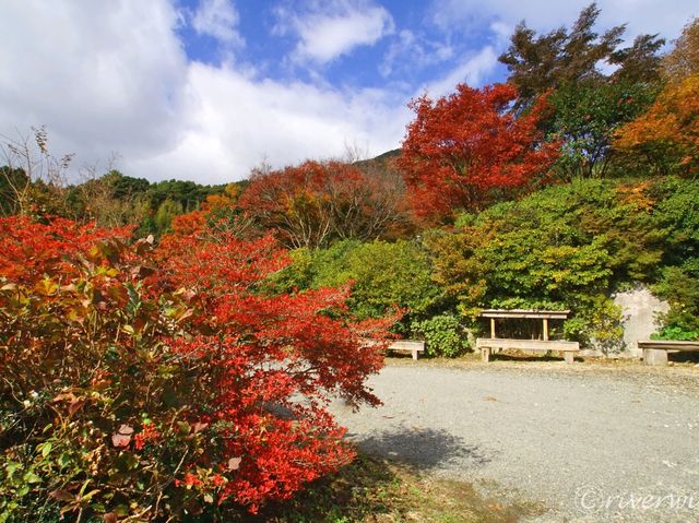 【佐賀県】息を呑む逆さ紅葉のリフレクション！環境芸術の森