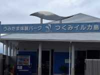 イルカ🐬島