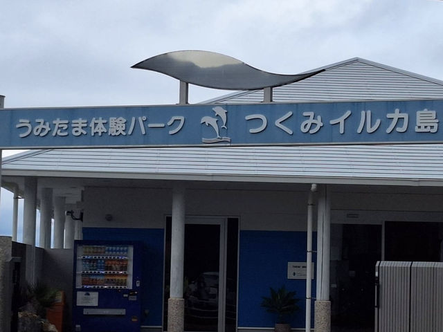 イルカ🐬島