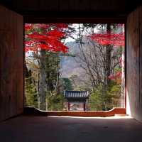 韓國大邱_Haeinsa Temple 해인사 世界文化遺產