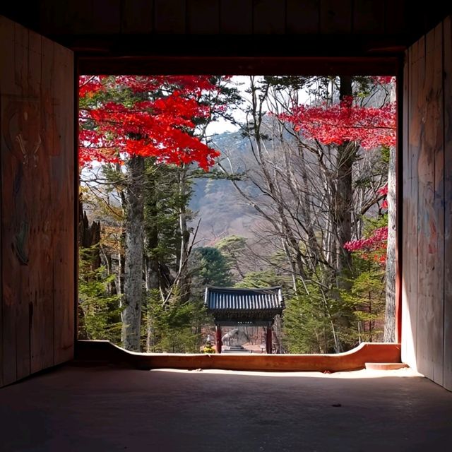 韓國大邱_Haeinsa Temple 해인사 世界文化遺產