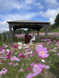 広島観光におすすめ☺️💐🌸百花繚乱🌼💐花の駅せら