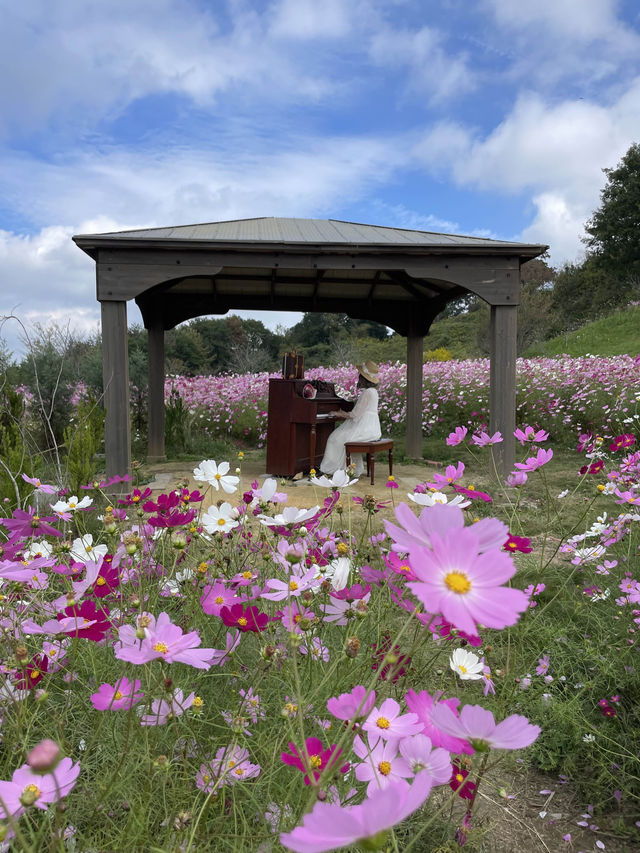 広島観光におすすめ☺️💐🌸百花繚乱🌼💐花の駅せら
