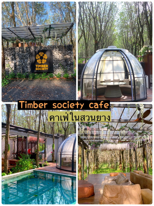 Timber society Cafe 