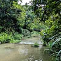 台北最佳親水步道：內湖大溝溪生態治水園區