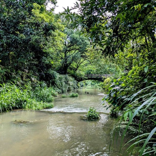台北最佳親水步道：內湖大溝溪生態治水園區