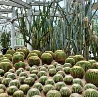 福岡市動植物園：自然的奇妙🌿🦁