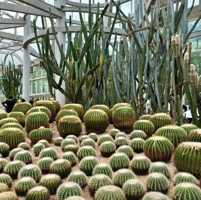 福岡市動植物園：自然的奇妙🌿🦁