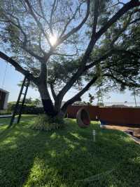 Nutnicha river house ที่พักริมน้ำในนครปฐม