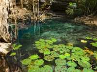 Hidden Paradise in selva of Yucatan