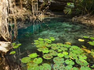 Hidden Paradise in selva of Yucatan