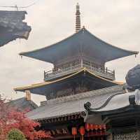 探索上海的起源：廣富林文化遺址&水下博物館