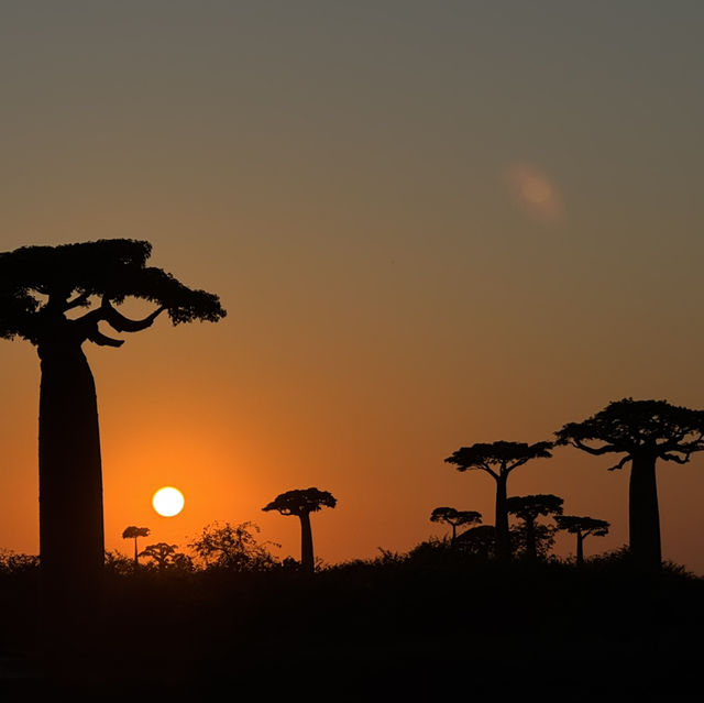 Amazing trip to Morondava, Madagascar