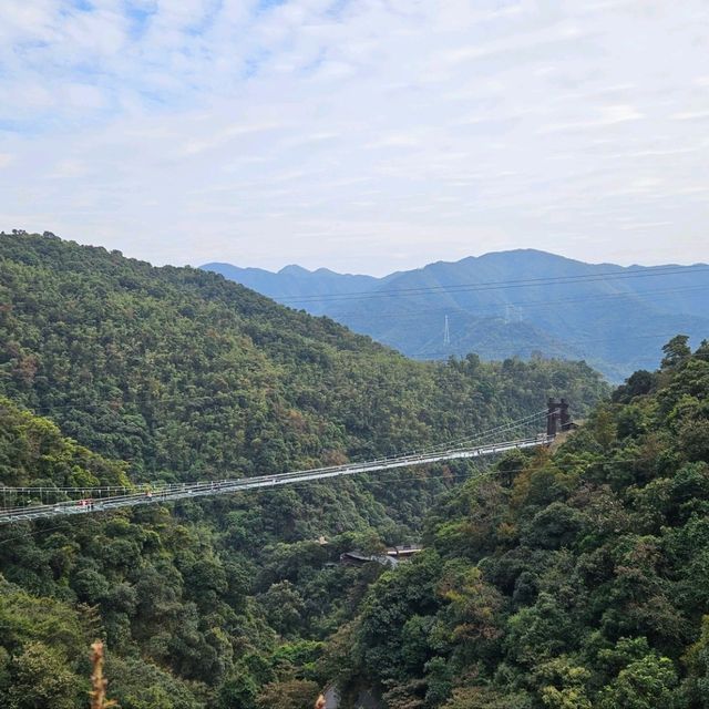 Qing Yuan Mountain View