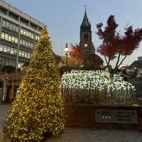 【韓国：明洞】明洞聖堂のクリスマス🎄