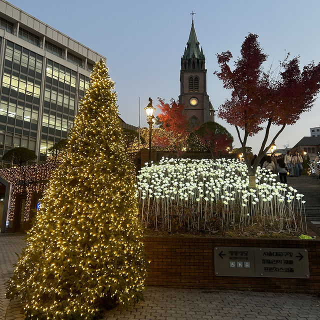 【韓国：明洞】明洞聖堂のクリスマス🎄
