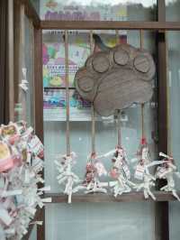 【福井】猫がたくさんのお寺🐈