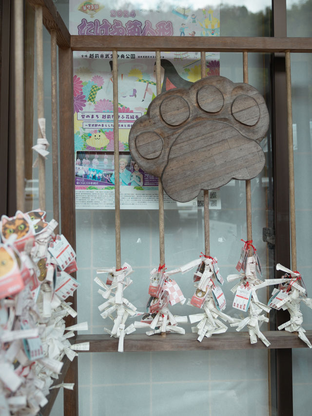 【福井】猫がたくさんのお寺🐈