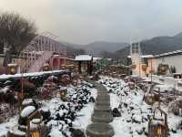  "한옥에서 만난 힐링, 풍물기행 🏡