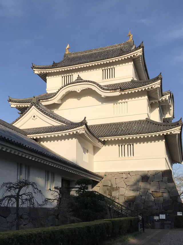 【千葉　観光穴場スポット】