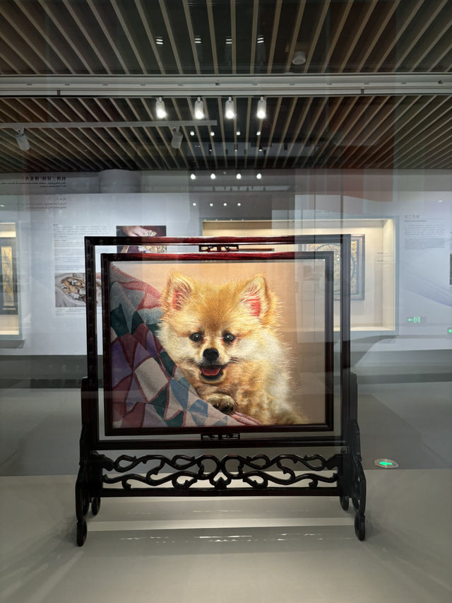 Discover China’s Silk History in Hangzhou 👗✨