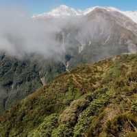 Conquer the Heights: Hiking the Alex Knob Track🏞️🥾