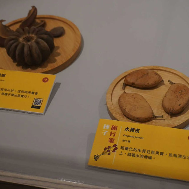 鰲鼓濕地生態展示館 