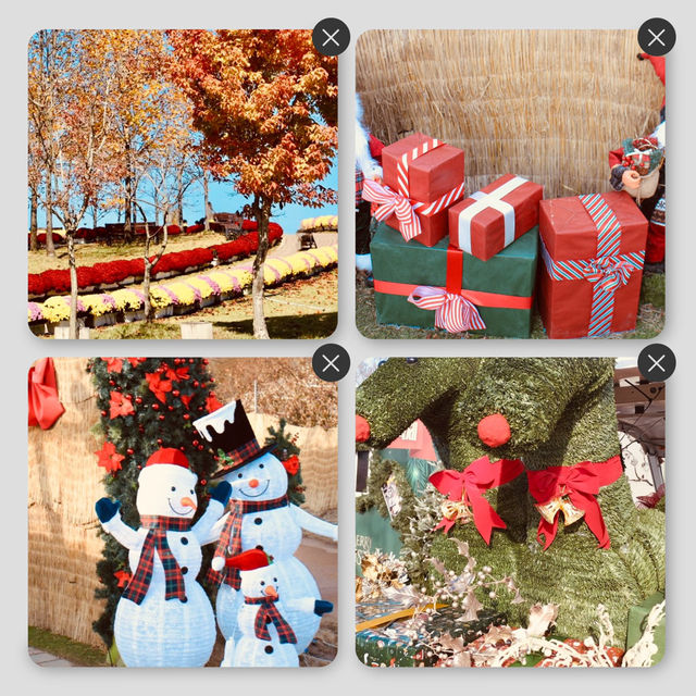 Where Nature Meets Festive Elegance