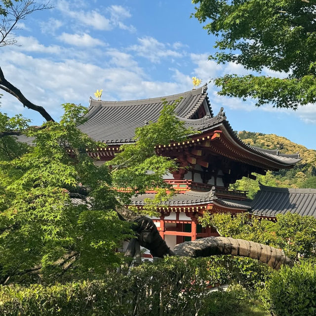 【京都】宇治のおすすめスポット