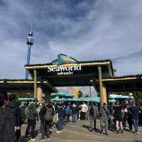 Orca encounter in Seaworld San Diego