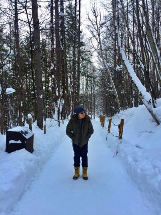 Furano in Winter: A New Year’s Journey Into a Snowy Wonderland