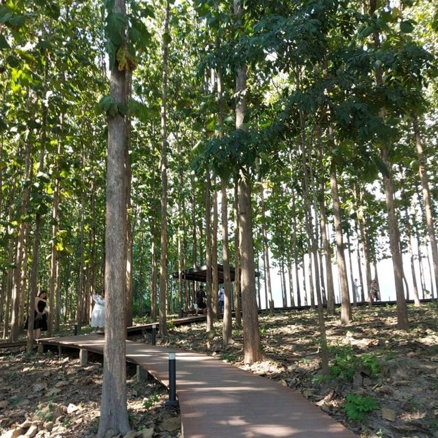 TATA Chiang Dao Cafe @ เชียงดาว