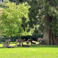 Wollaton Hall Grounds and Deer Park