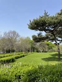 🖼️정말 그림속 한장면 같았던 양평 카페그림정원🌳